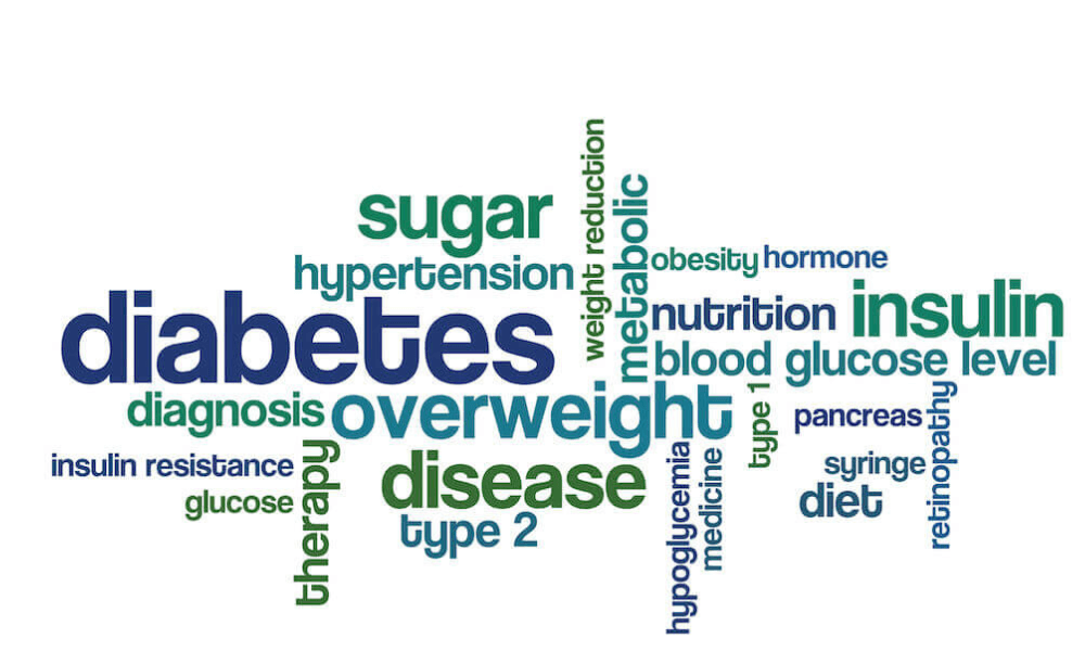Plenareno Diabetes, Obesity and Cholesterol Metabolism Conference at Dubai, UAE