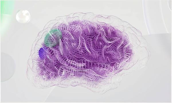 Surprisingly simple model explains how brain cells organize and connect by University of Chicago
