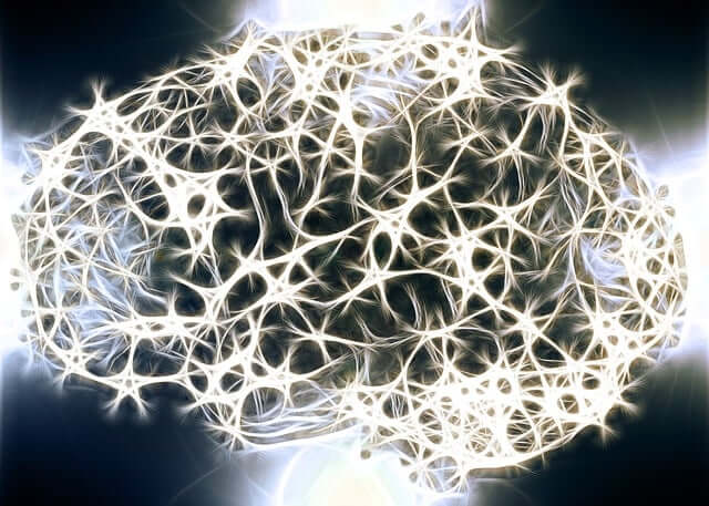 A new study by physicists and neuroscientists at University of Chicago on brain cells